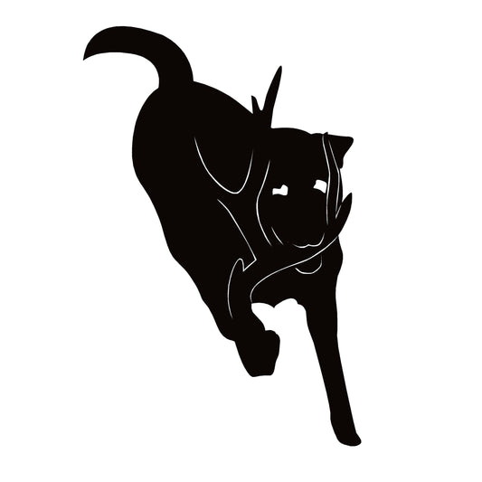 Shed Antler Hunting Decal - Retrieving Dog with Antler Sticker - 7028