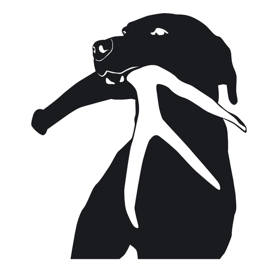Shed Antler Decal - Shed Hunting Dog Sticker - 7035