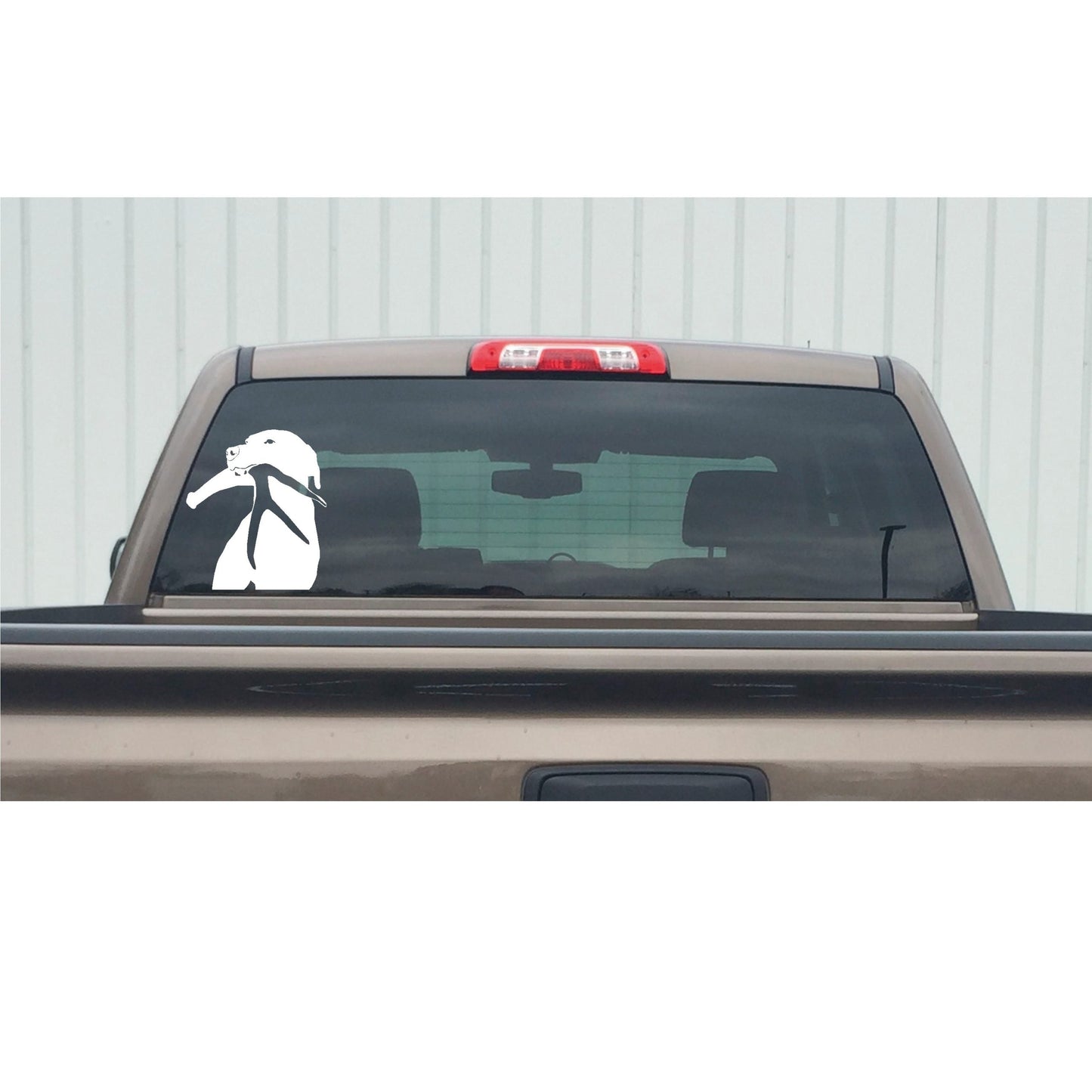 Shed Antler Decal - Shed Hunting Dog Sticker - 7035
